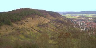 Blick von Wurmlinger Kapelle auf Wurmlinger Berg zum Spitzberg