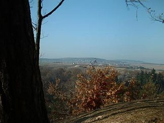 Blick vom Kienberg über Kurort Hartha zum Landberg