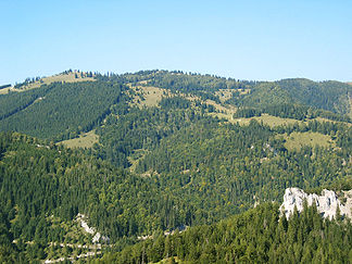 Tirolerkogel, aufgenommen vom Südosten, von der Karnermauer, dem südwestlichsten Gipfel des Traisenberges