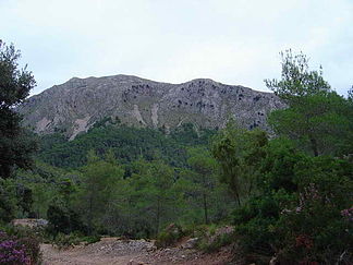 Blick auf den Puig Tomir (Hauptgipfel links im Bild)