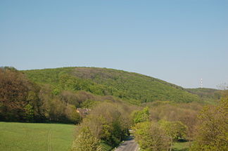 Vogelsangberg von der Rohrerwiese