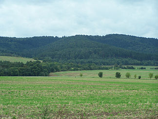 Ansicht von Osten (Dankmarshausen)