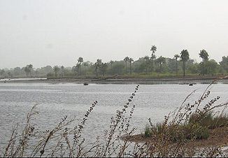 Der Sofaniama Bolong östlich von Soma