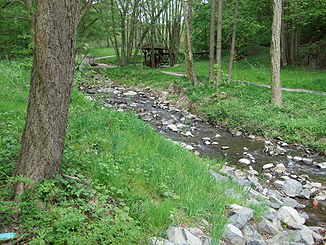 Der Reichenbach kurz vor dem Zusammenfluss mit dem Rombach zum Liederbach