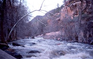 Der Oak Creek bei Sedona