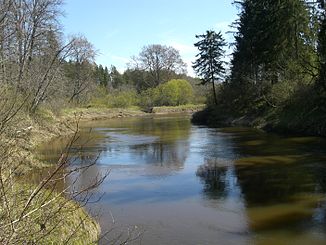 Abava River(1).jpg