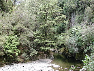 Akatarawa River in der Karapoti Schlucht