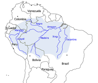 Rio Madeira im Amazonasbecken