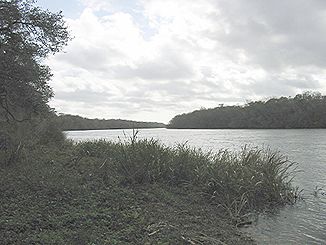Der Apalachicola River in der Nähe von Fort Gadsden in Florida
