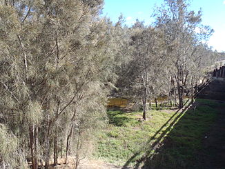 Arhur River von der Brücke über den Albany Highway aus