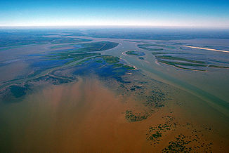 Delta des Flusses