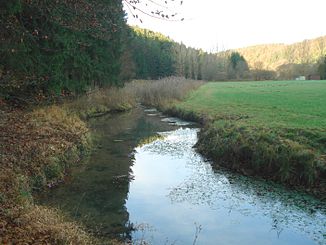 Die Bachmühlbachquelle westlich der Bachmühle