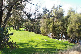 Balgarup River bei der Unterquerung des Albany Highway