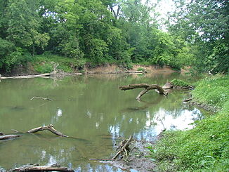 Der Big Walnut Creek im Three Creeks Metro Park bei Columbus