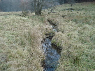 Der Birklerbach im Naturschutzgebiet Spessartwiesen