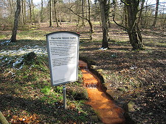 Eisenocker führende Quellen im östlichen Rombergpark