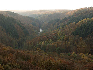 Blick von der Müngstener Brücke ins Tal der Wupper nach Süden