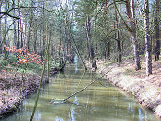 Brenzer Kanal