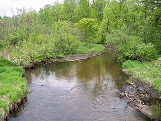 Der Blueberry River in der Blueberry Township.