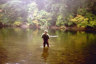 Angler im Bogachiel River