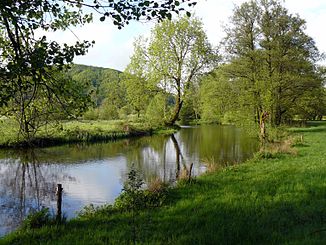 Der Fluss bei La Proiselière-et-Langle