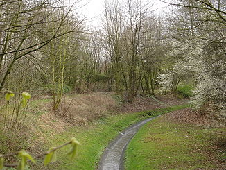 Der Breuskes Mühlenbach im Bereich der Hillerheide, östlich der Bahnlinie Herne - Recklinghausen, März 2008
