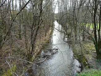 Der Fluss bei Lamonzie-Montastruc