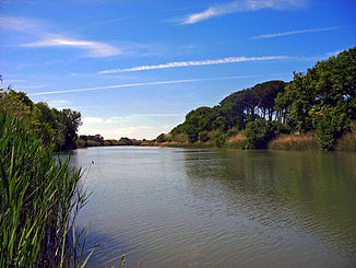 Cecina river.jpg