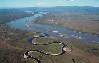 Mündung des Charley River in den Yukon