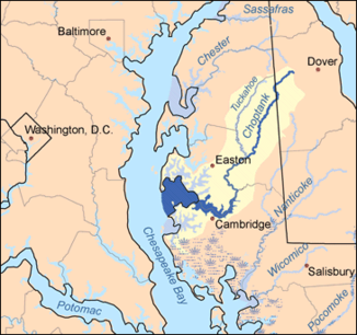 Flusssystem im östlichen Maryland. Hervorgehoben sind der Choptank River und seine Zuflüsse