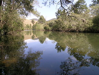 Cooplacurripa River