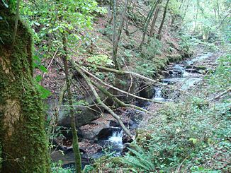 Das Gewässer in der Schlucht Cuves de Bléfond