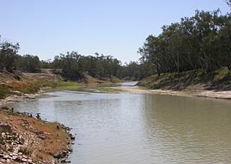 Darling River bei Bourke mit überdurchschnittlich viel Wasser