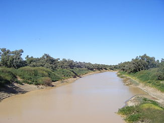 Diamantina River bei Birdsville (Queensland)