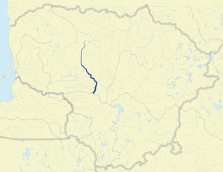 Die Dubysa als Nebenfluss der Memel in Litauen