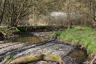 Der Eipbach im Mittellauf