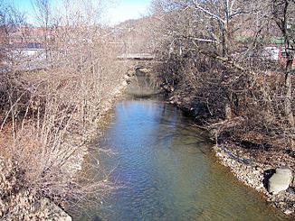 Elk Creek in Clarksburg (2006)