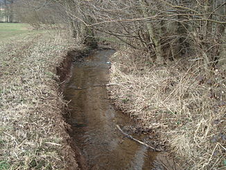 Der Erlenbach nördlich von Erlenbach