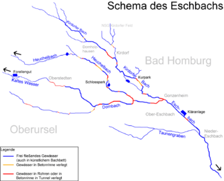 Schemazeichnung von Heuchelbach und Eschbach