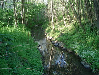 Der Flutgraben bei Goldbach