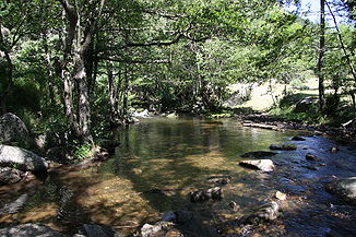 Der Fluss bei Saint-Étienne-du-Valdonnez