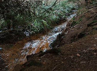 Rechter Zulauf des Freebachs im gleichnamigen Naturschutzgebiet,600 m nordöstlich von Landwehr