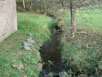 Der Grimmenwiesenbach in Neuhütten