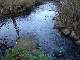 Der Grimmenwiesenbach (vorne rechts) mündet in den Lohrbach