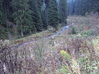 Grumbach im Tal oberhalb von Wildemann