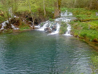 Teile der Wimsener Wasserfälle am Hasenbach