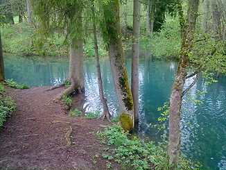 Der Hasenbach an den Wimsener Wasserfällen