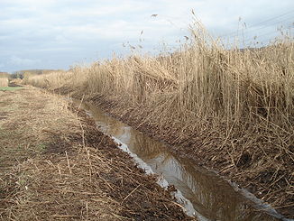 Der Haggraben bei Waldstadt