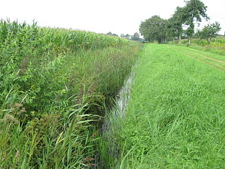 Heglitzer Zuggraben zwischen Heglitz und Poggenkrug