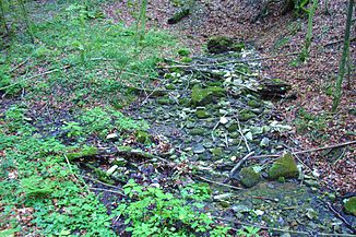Oberste Quelle im nördlichen Quellarm, die ständig Wasser führt. (21. Juli 2011)